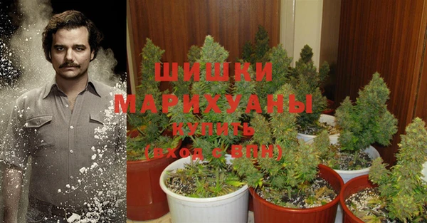 каннабис Абаза