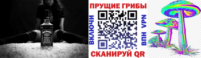 MEGA зеркало  Владимир  Псилоцибиновые грибы прущие грибы  сколько стоит 