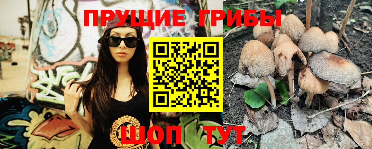 Владимир  Галлюциногенные грибы Psilocybe  Вход с VPN 